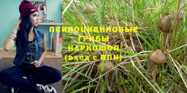 стафф Навашино